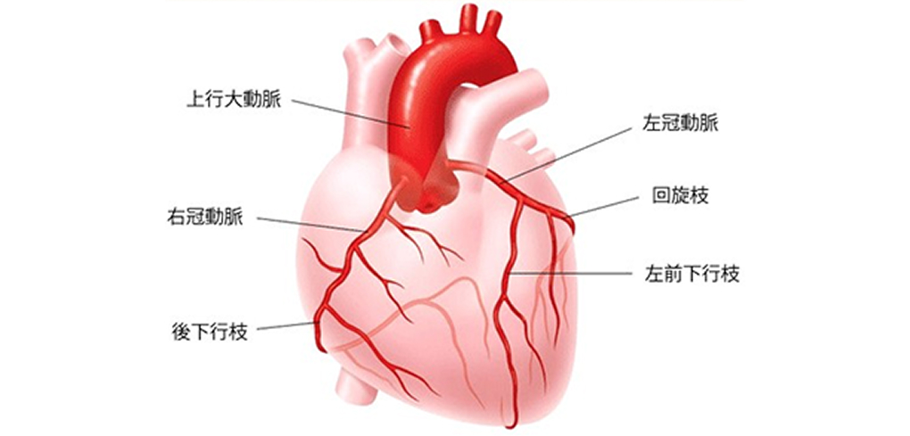 心不全・心筋症とは