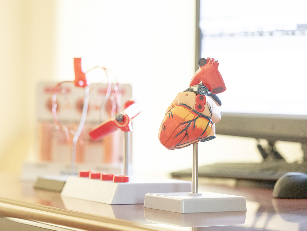 心不全・心筋症